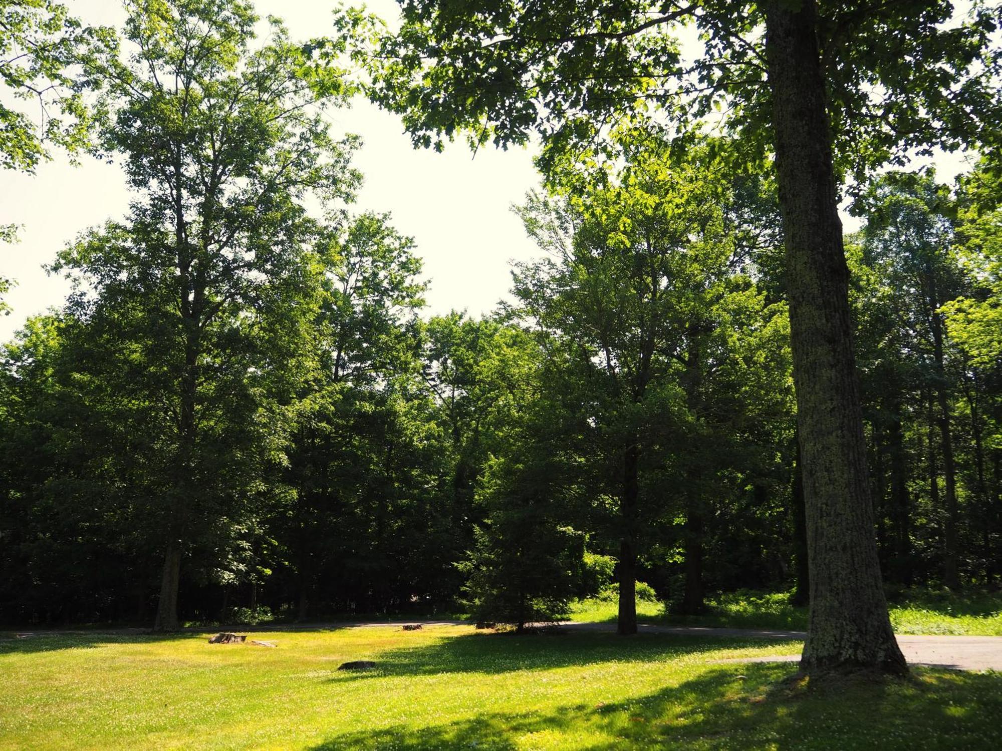 Woodfield Manor - A Sundance Vacations Property Cresco Εξωτερικό φωτογραφία
