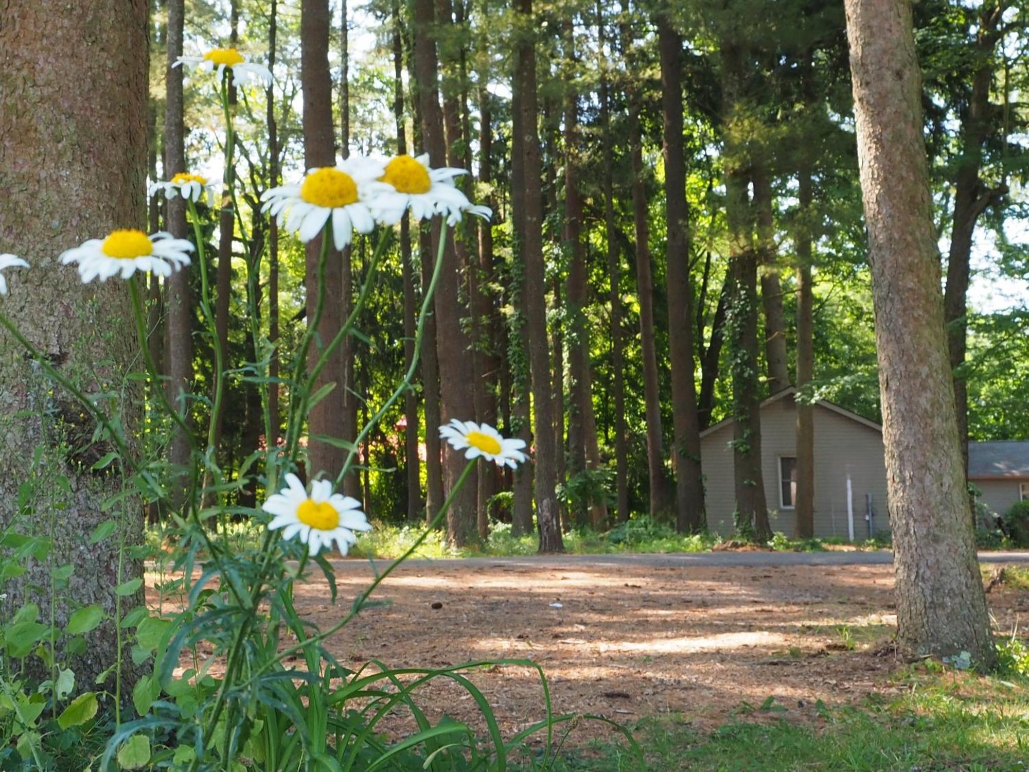 Woodfield Manor - A Sundance Vacations Property Cresco Εξωτερικό φωτογραφία